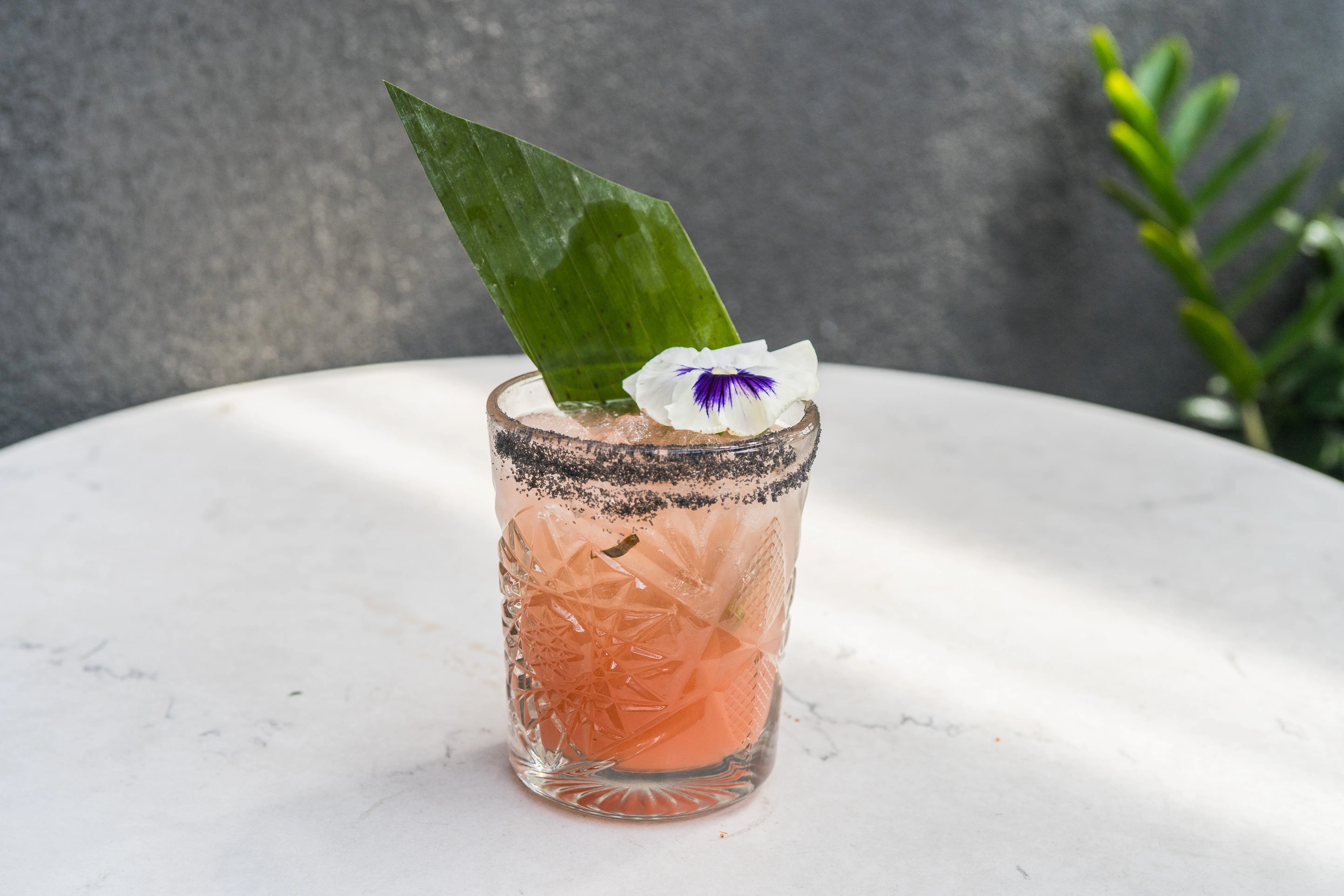 Purcahse Paloma— signature cocktail at Louisiana Purchase North Park
