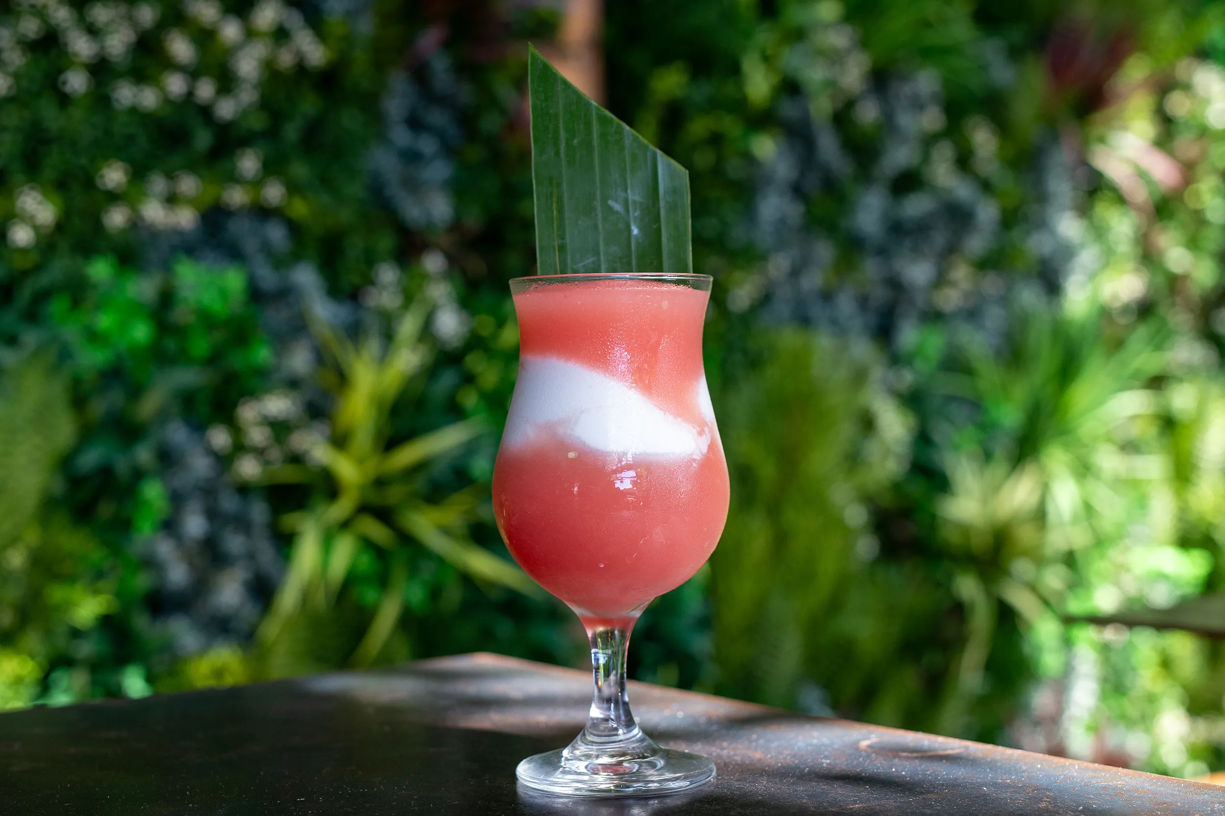 frozen cockail, altos plata, watermelon, citrus, agave